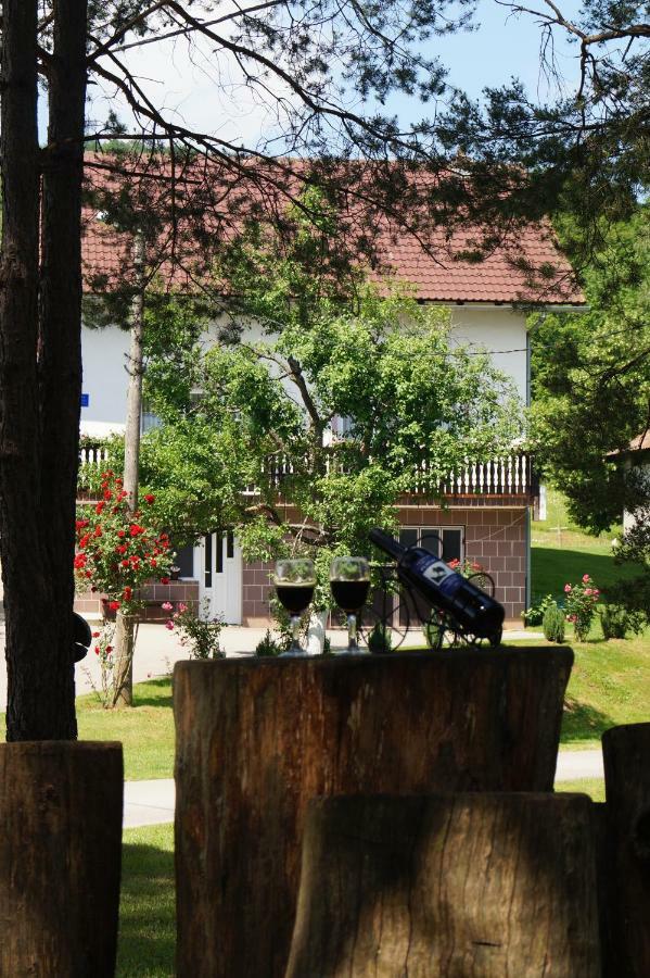 Drago Appartement Rakovica